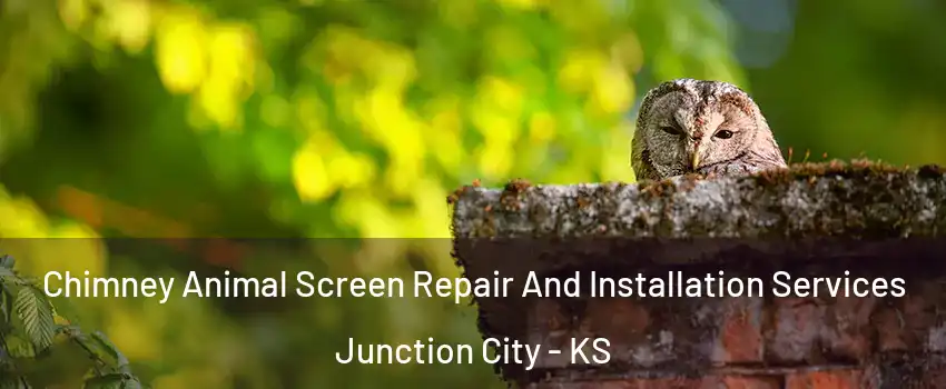  Chimney Animal Screen Repair And Installation Services Junction City - KS