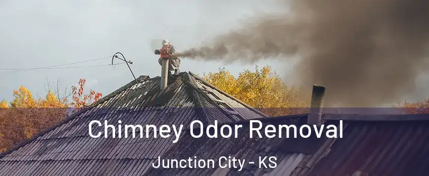  Chimney Odor Removal Junction City - KS