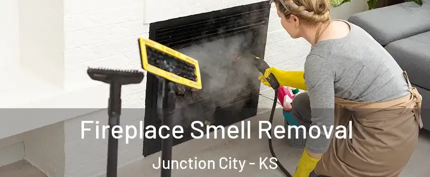  Fireplace Smell Removal Junction City - KS