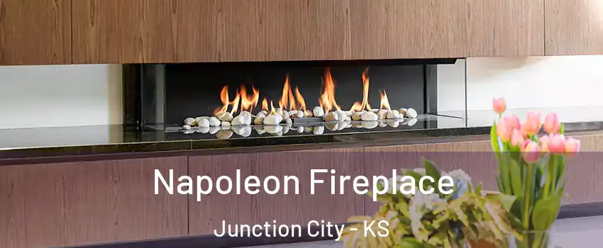  Napoleon Fireplace Junction City - KS